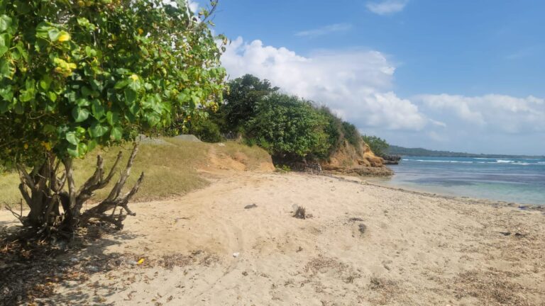 Whatsapp Image 2024 04 01 At 5.35.25 Pm